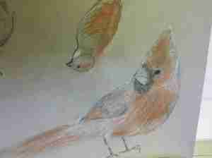 2013-07-05_10-04-14_858