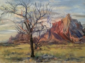 View From Visitor Center