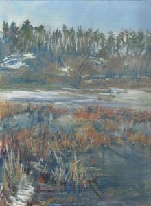 Wirth Lake Wetland Thaw