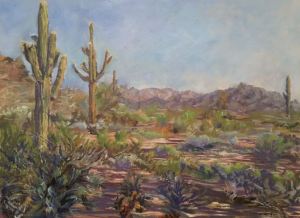 Apache Wash Entry Vista