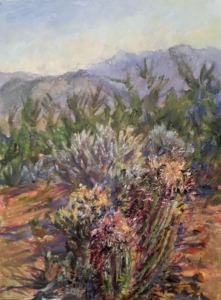 Barrel Cactus Overlook