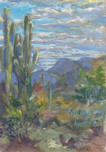 Cave Creek Saguarro